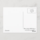Carte Postale Bouc (Dos)