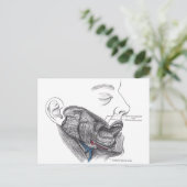 Carte Postale bouche anatomique (Debout devant)