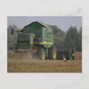 Carte Postale Bouche dans le champ de maïs