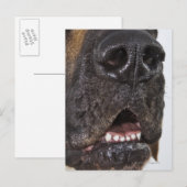 Carte Postale Bouche de Grande Danse, gros plan (Devant / Derrière)
