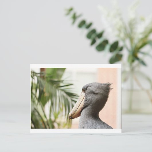 Carte Postale Bouche de nomade (Debout devant)