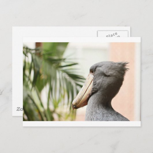 Carte Postale Bouche de nomade (Devant / Derrière)