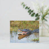 Carte Postale Bouche Ouverte (Debout devant)