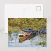 Carte Postale Bouche Ouverte (Devant / Derrière)