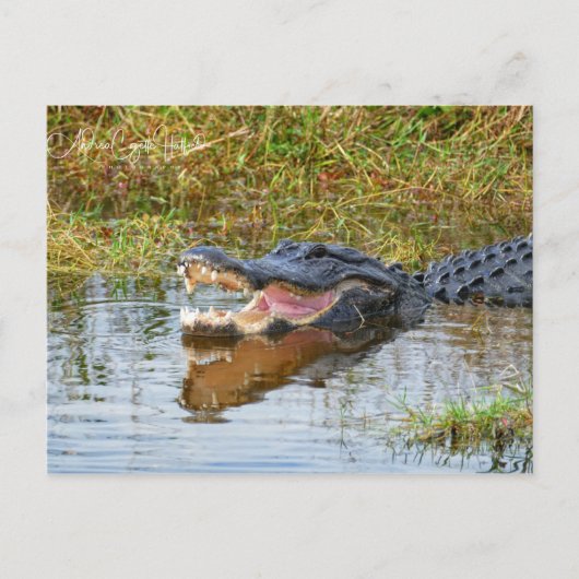 Carte Postale Bouche Ouverte (Devant)