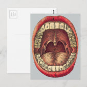 Carte Postale Bouche vintage (Devant / Derrière)