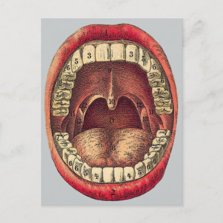 Carte Postale Bouche vintage