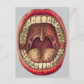 Carte Postale Bouche vintage (Devant)