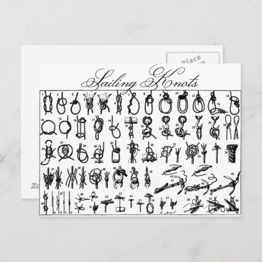 Carte Postale Bouches à voile (Devant / Derrière)