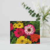 Carte Postale Bouches colorées (Debout devant)