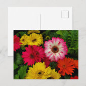 Carte Postale Bouches colorées (Devant / Derrière)