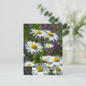 Carte Postale Bouches de printemps blanches en fleurs (Debout devant)
