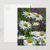 Carte Postale Bouches de printemps blanches en fleurs (Devant / Derrière)