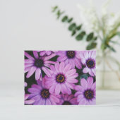 Carte Postale Bouches violettes (Debout devant)