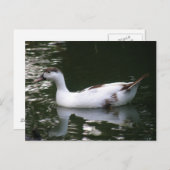 Carte postale Bouchon (Devant / Derrière)