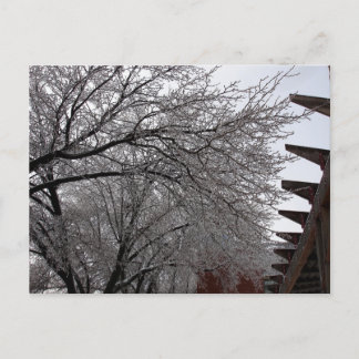 Carte Postale Boucle Icy Delmar