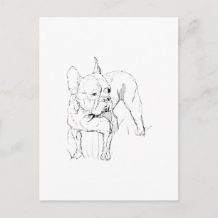 Carte Postale Boucledog français – Illustration de chien dessiné