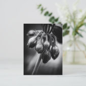 Carte Postale Boucles de fleurs de printemps (Debout devant)