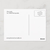 Carte Postale Bouclier (Dos)