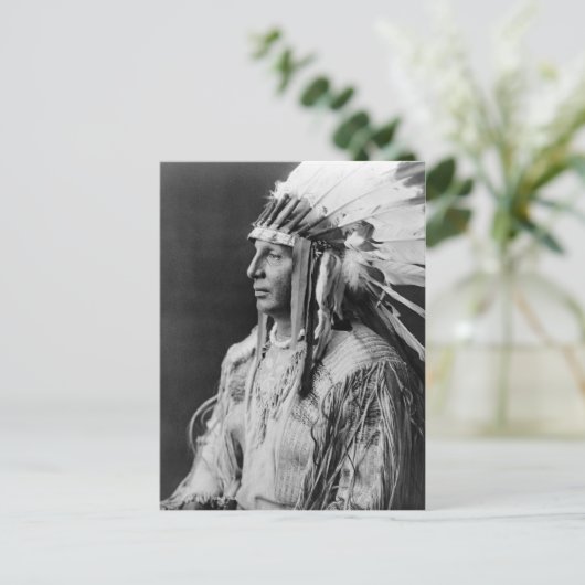 Carte Postale Bouclier blanc (Debout devant)