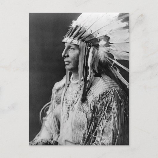 Carte Postale Bouclier blanc (Devant)