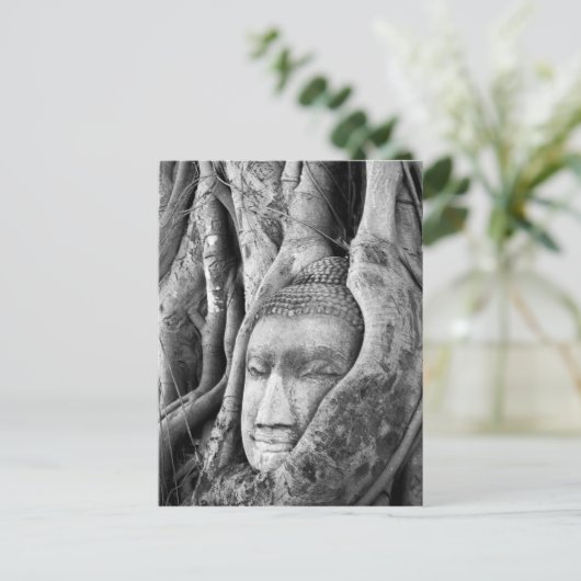 Carte Postale Bouddha dans un arbre (Debout devant)
