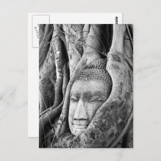 Carte Postale Bouddha dans un arbre (Devant / Derrière)