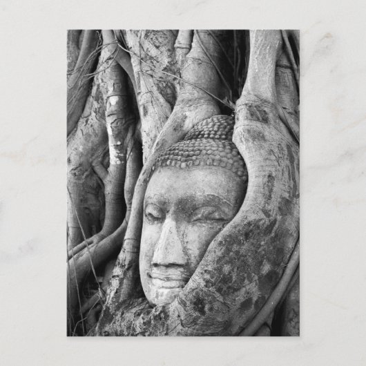 Carte Postale Bouddha dans un arbre (Devant)