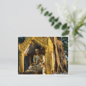 Carte Postale bouddha de stupa doré (Debout devant)