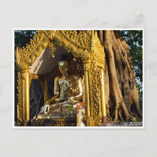 Carte Postale bouddha de stupa doré (Devant)