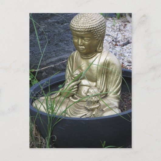 Carte Postale Bouddha du jardin (Devant)