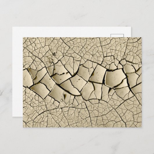 Carte Postale Boue séchée (Devant / Derrière)