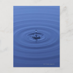 Carte Postale Boues d'eau