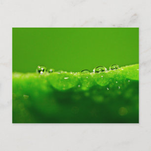 Carte Postale Boues d'eau