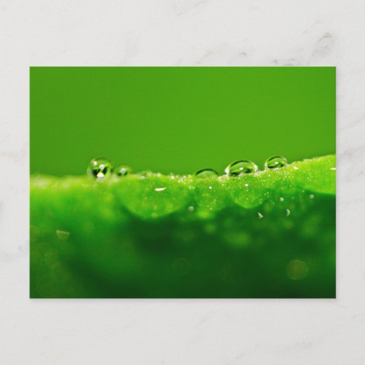 Carte Postale Boues d'eau (Devant)