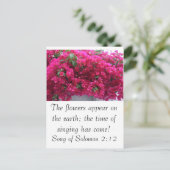 Carte Postale Bougainvilla - Écriture : Chant de Salomon 2:12 (Debout devant)