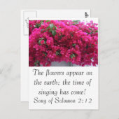 Carte Postale Bougainvilla - Écriture : Chant de Salomon 2:12 (Devant / Derrière)