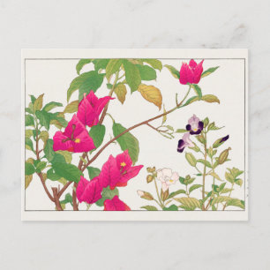 Carte Postale Bougainville, Fleur de Wishbone par Tanigami Konan