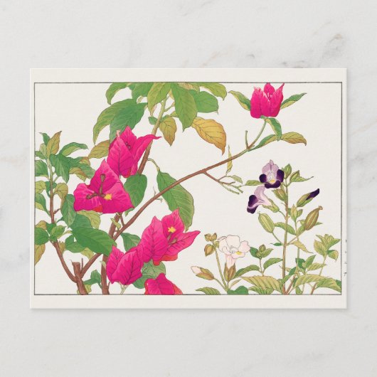 Carte Postale Bougainville, Fleur de Wishbone par Tanigami Konan (Devant)