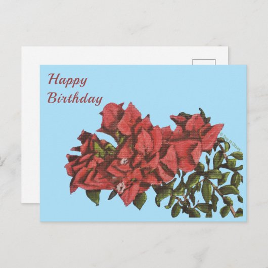 Carte postale Bougainvillea (Devant / Derrière)