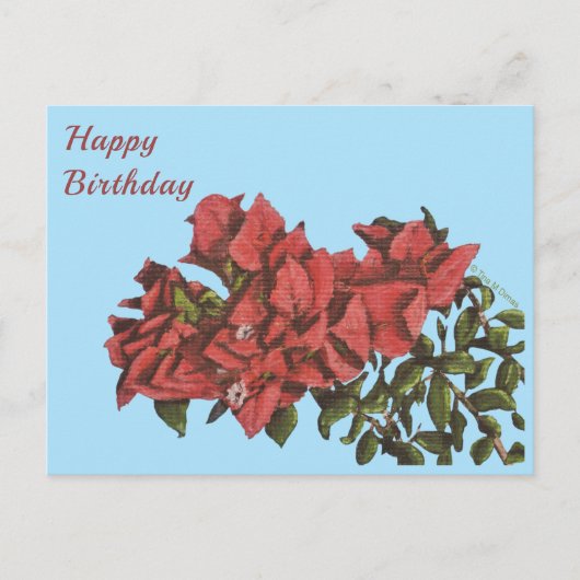 Carte postale Bougainvillea (Devant)