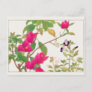 Carte Postale Bougainvillea, Fleur Wishbone de Tanigami Konan