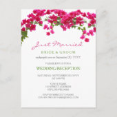 Carte Postale Bougainvillea réception tropicale elopée (Devant)