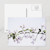 Carte Postale Bougainvillée (Devant / Derrière)
