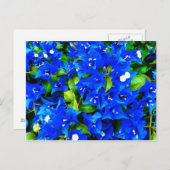 Carte Postale Bougainvilliers bleus vifs Fleurs (Devant / Derrière)