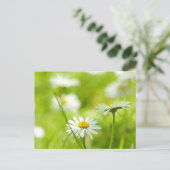 Carte Postale Bougie de printemps près (Debout devant)