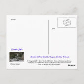 Carte Postale Boulder Falls (Dos)