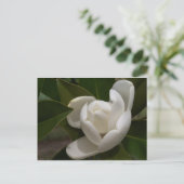 Carte Postale Boule de fleur de magnolia blanc crémeux (Debout devant)
