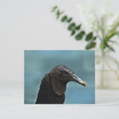 Carte Postale Boule noire (Debout devant)