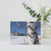 Carte Postale bouleau et maison (Debout devant)